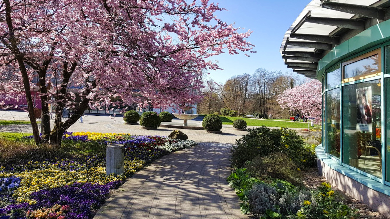 Frühling im Kurpark