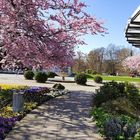 Frühling im Kurpark