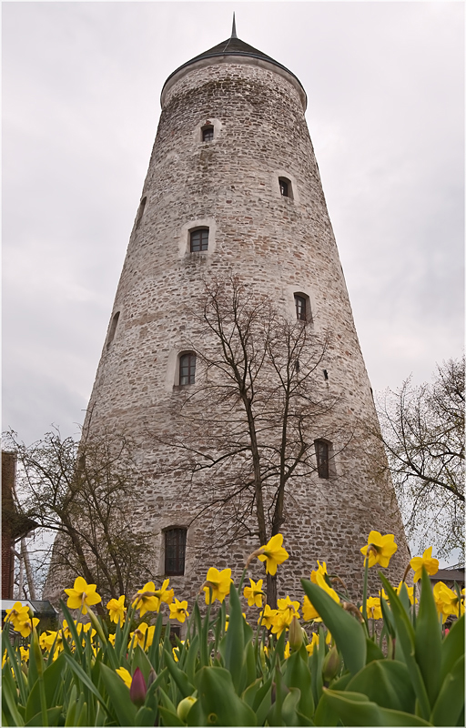 Frühling im Kurpark 2