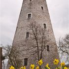 Frühling im Kurpark 2