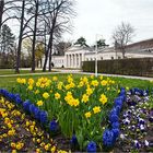 Frühling im Kurpark