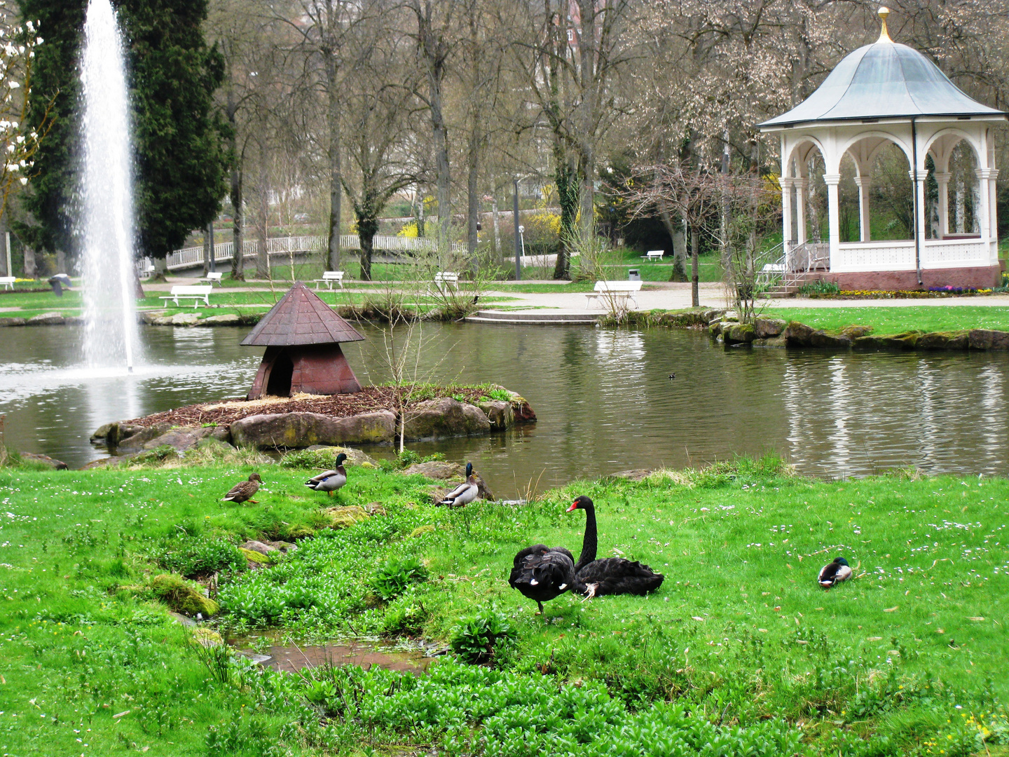 Frühling im Kurpark Bad Liebenzell