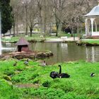 Frühling im Kurpark Bad Liebenzell