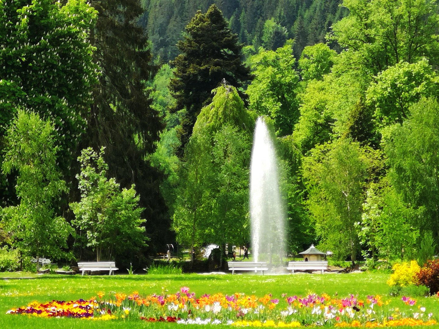 Frühling im Kurpark Bad Liebenzell