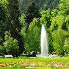 Frühling im Kurpark Bad Liebenzell