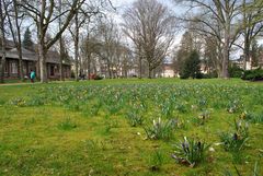 Frühling im Kurpark Bad Orb