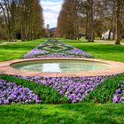 Frühling im Kurpark Bad Pyrmont