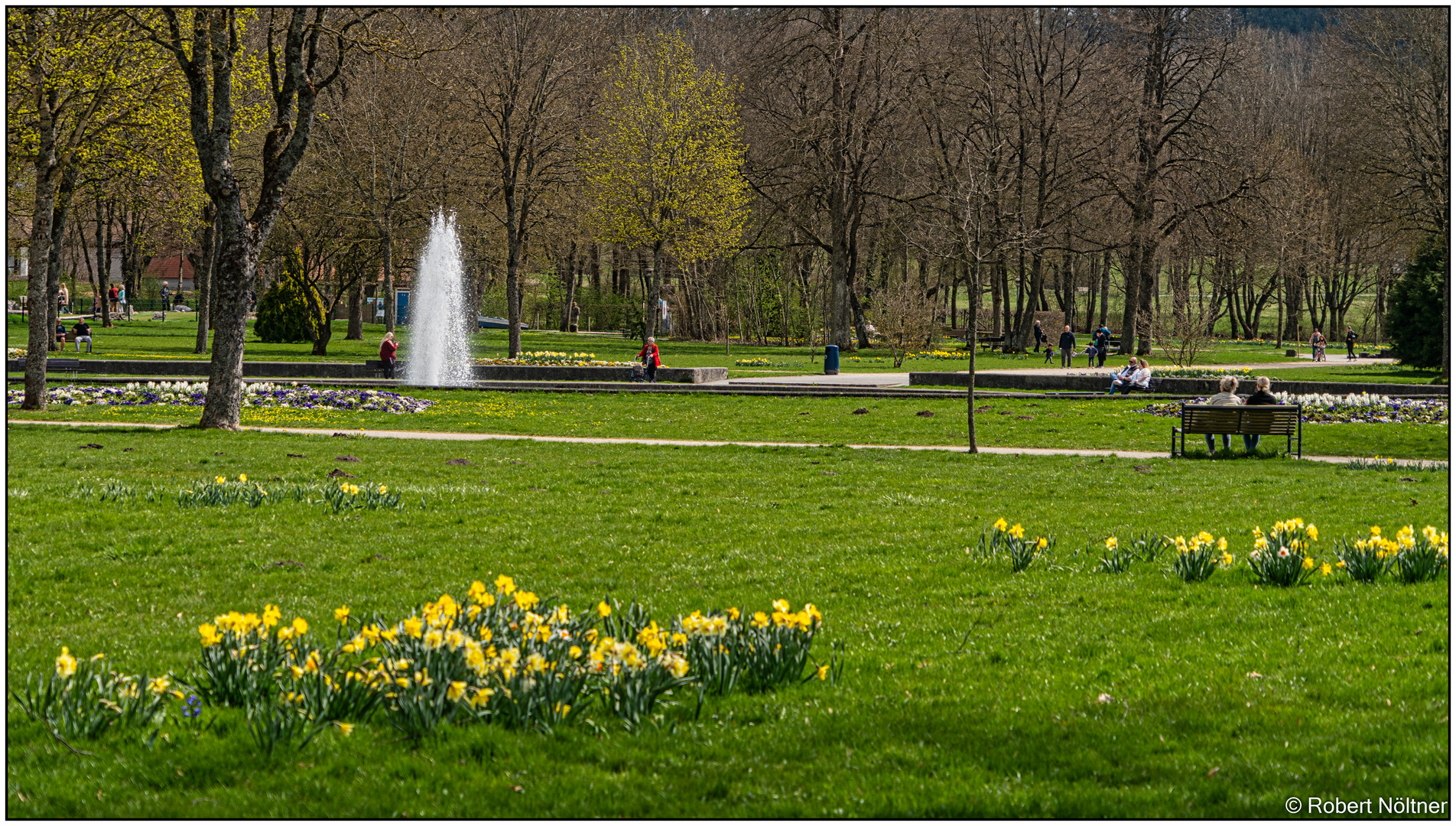 Frühling im Kurpark