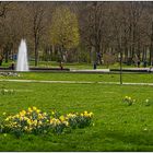 Frühling im Kurpark