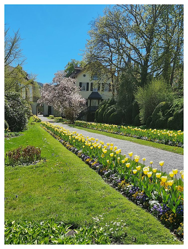 Frühling im Kurpark, II