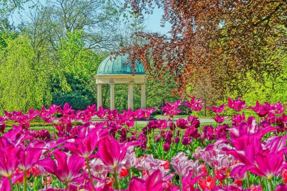 Frühling im Kurpark von Bad Pyrmont