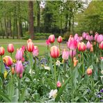 Frühling im Kurpark von Bad Schmiedeberg