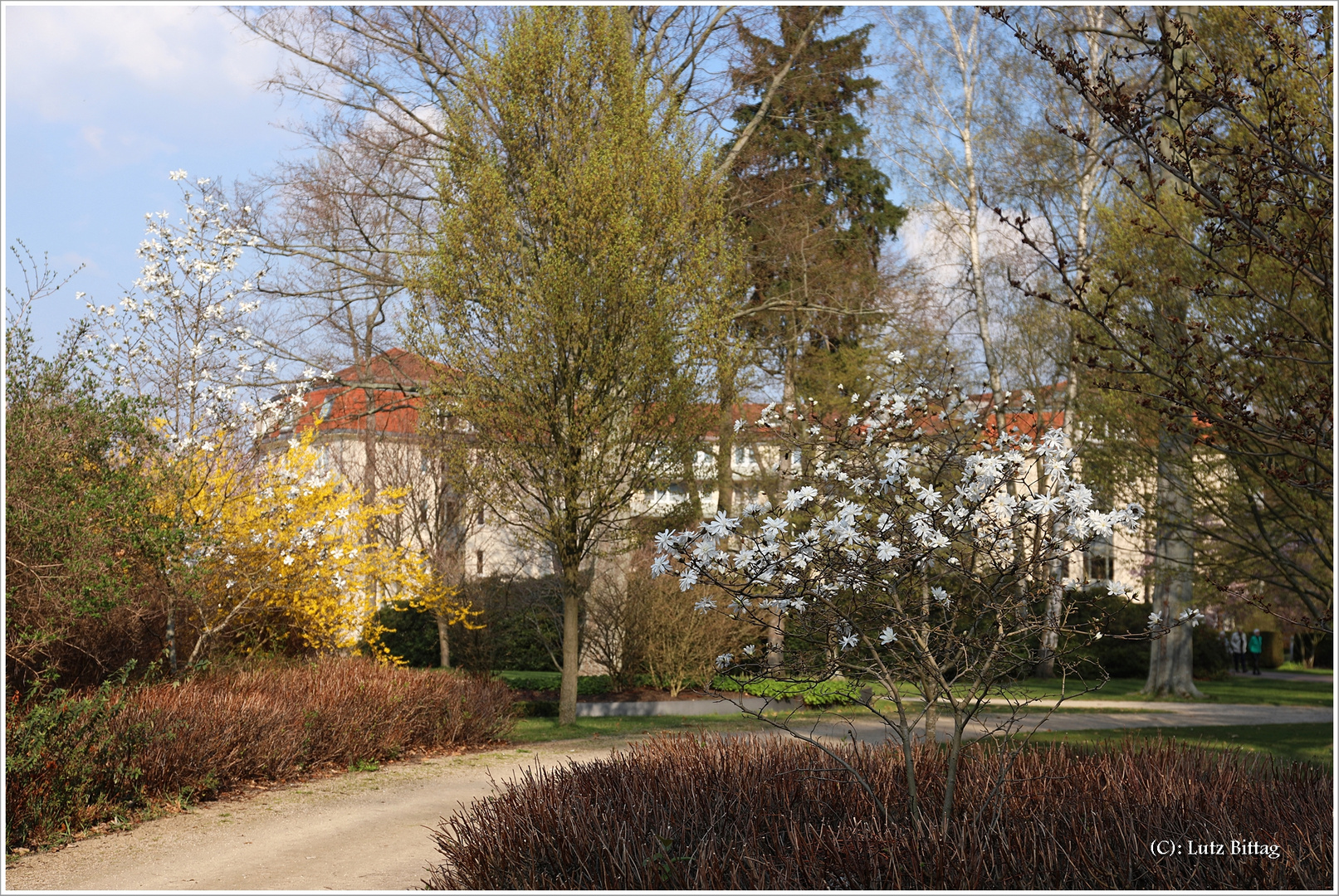 Frühling im Kurpark von Bad Schmiedeberg