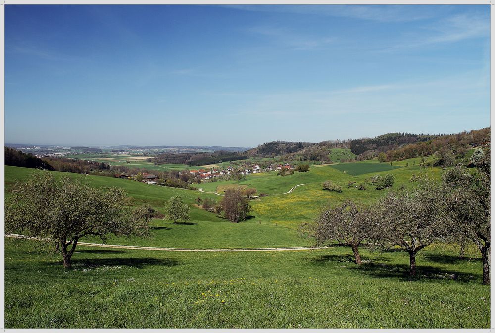 Frühling im Ländle 2