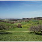 Frühling im Ländle 2