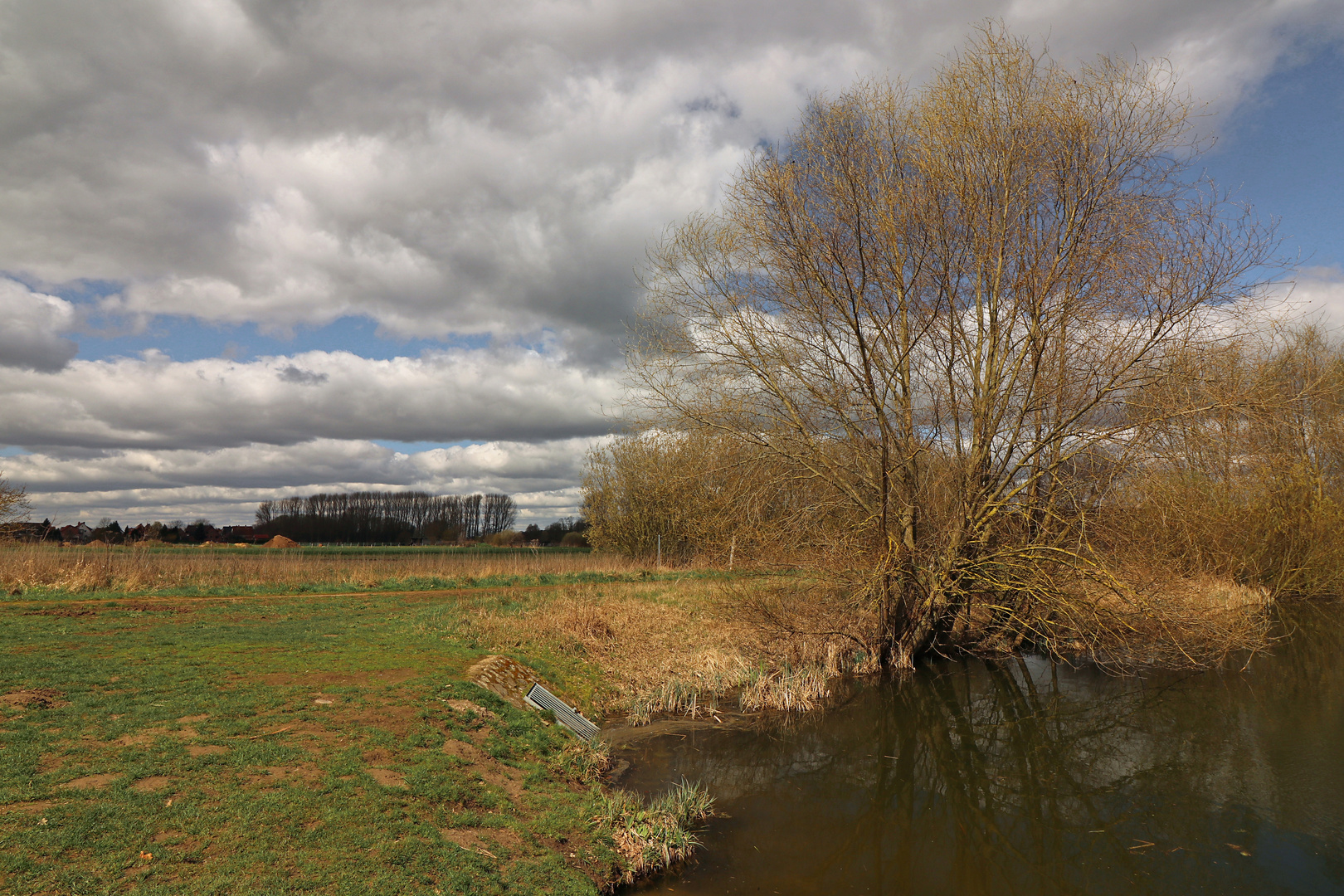 Frühling im Lammer Bruch