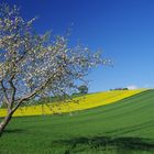 Frühling im Land!