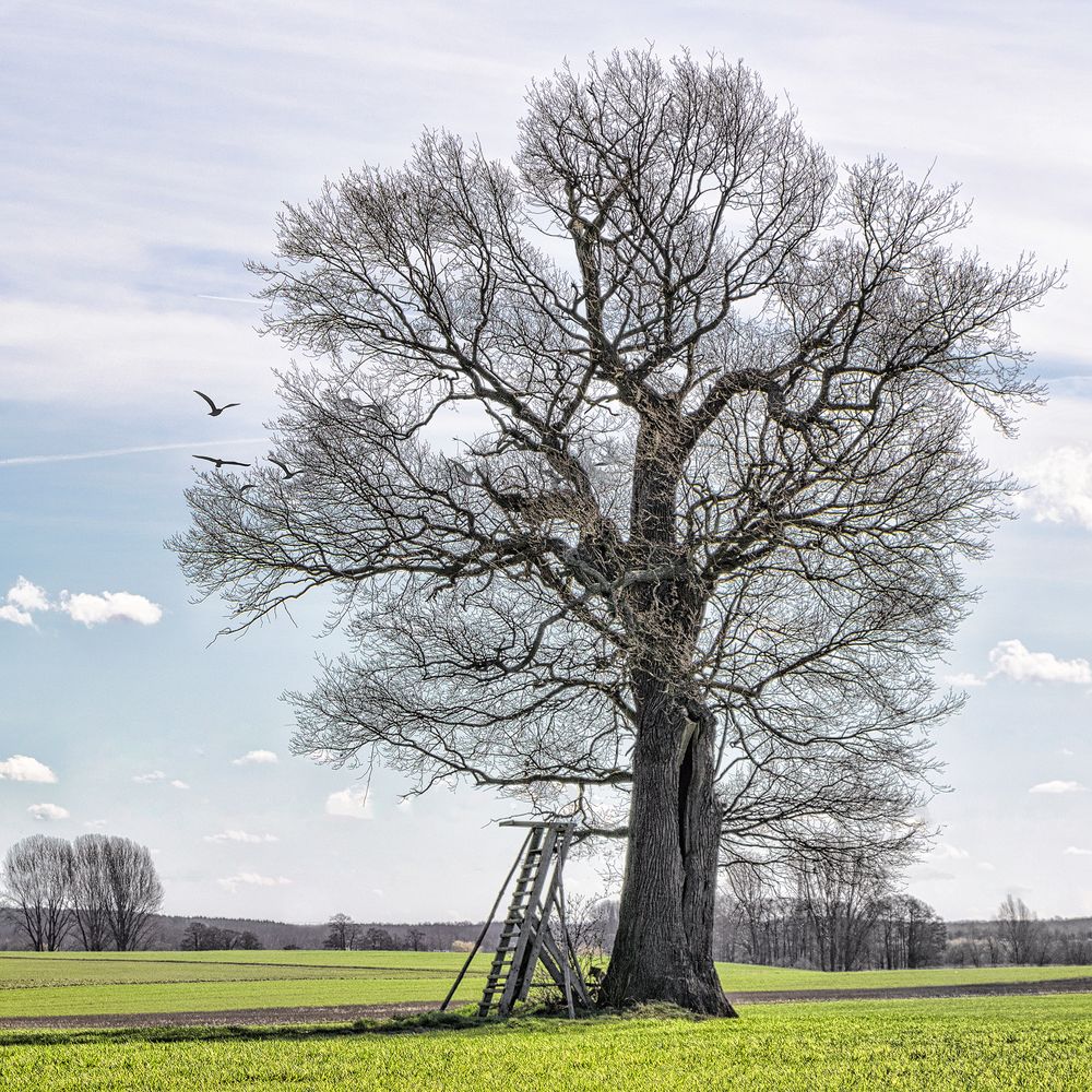 Frühling im Land Brandenburg