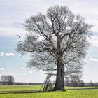 Frühling im Land Brandenburg