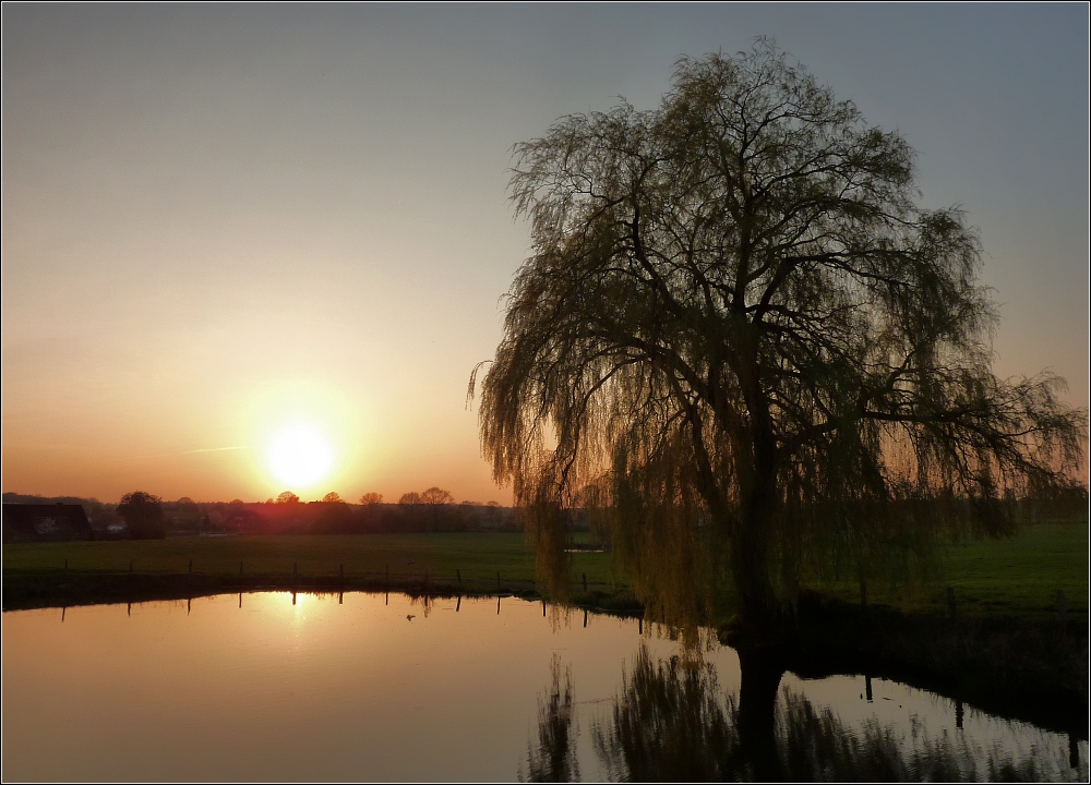 Frühling im Land der Horizonte