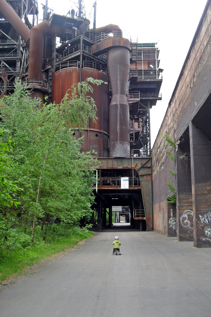 Frühling im Landschaftspark