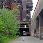 Frühling im Landschaftspark