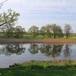 Frühling im Landschaftspark Großkühnau