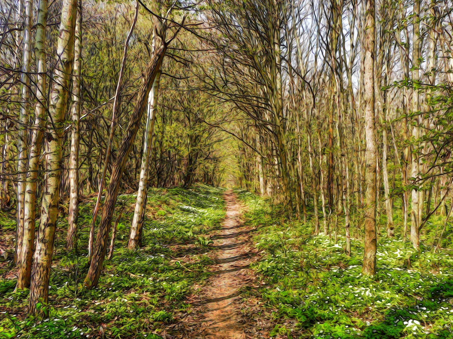 Frühling im Lappwald