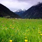 Frühling im Lechtal