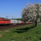 Frühling im Leinetal