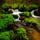 Frühling im Lerautal