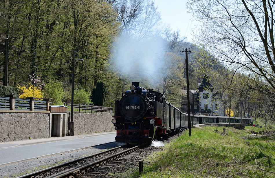 Frühling im Lößnitzgrund