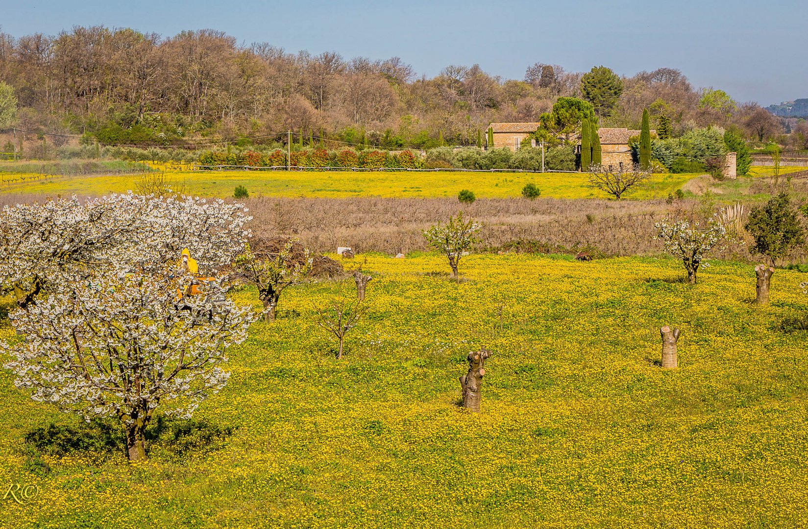 Frühling im Luberon