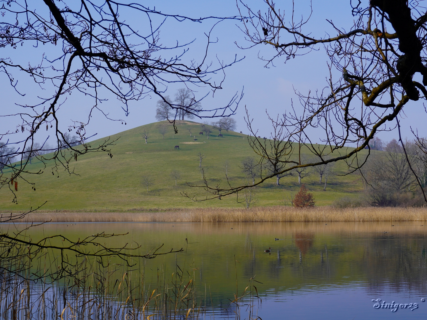 Frühling im Luft