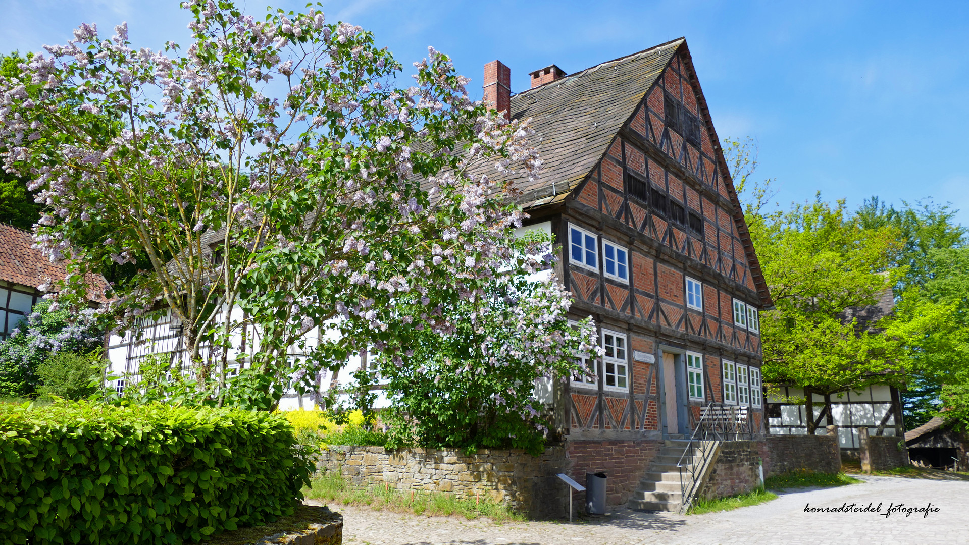 Frühling im LWL Freilichtmuseum Detmold