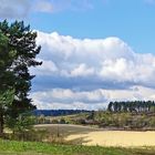 Frühling im Maasland