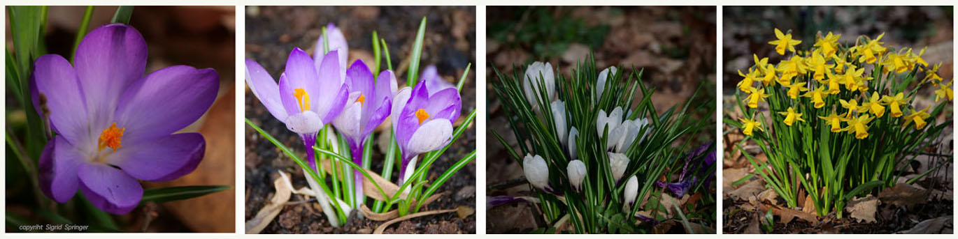 Frühling im März 2021