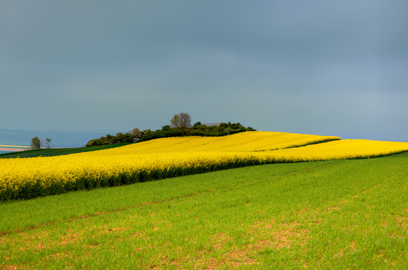 Frühling im Maifeld