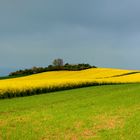 Frühling im Maifeld