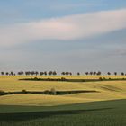 Frühling im Mansfelder Land