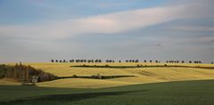 Frühling im Mansfelder Land