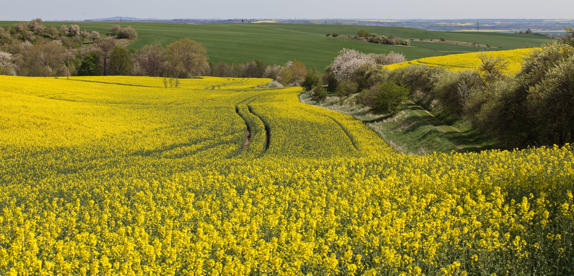 Frühling im Mansfelder Land