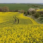 Frühling im Mansfelder Land