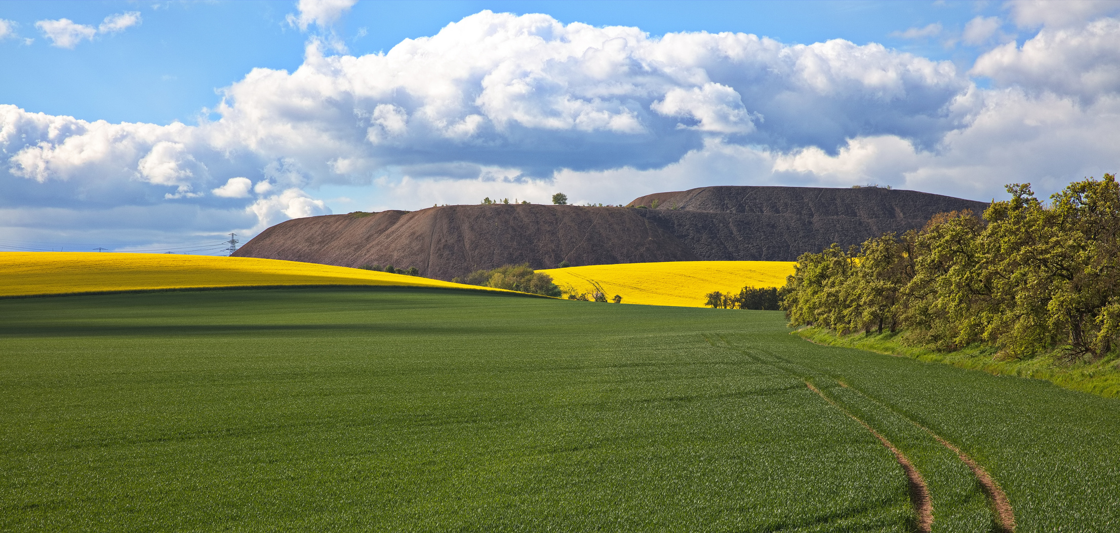 Frühling im Mansfelder Land