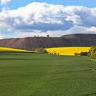 Frühling im Mansfelder Land