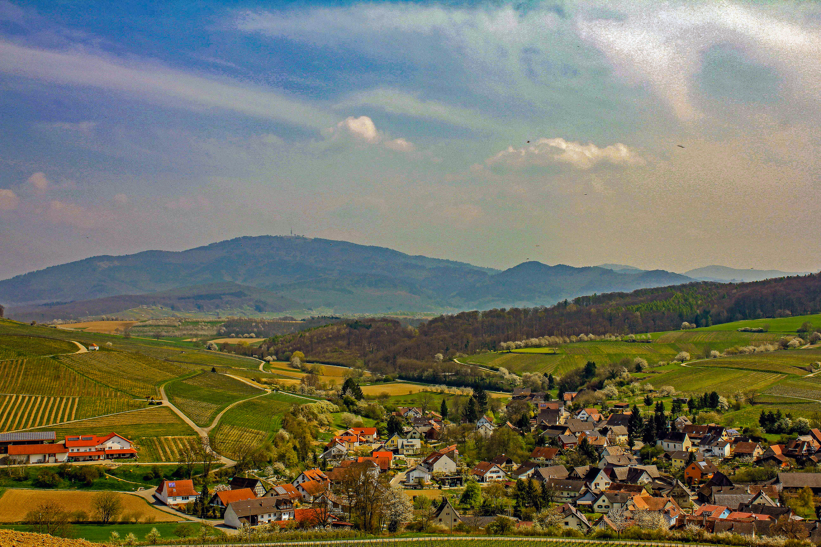 Frühling im Markgräfler Land