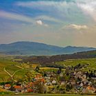 Frühling im Markgräfler Land