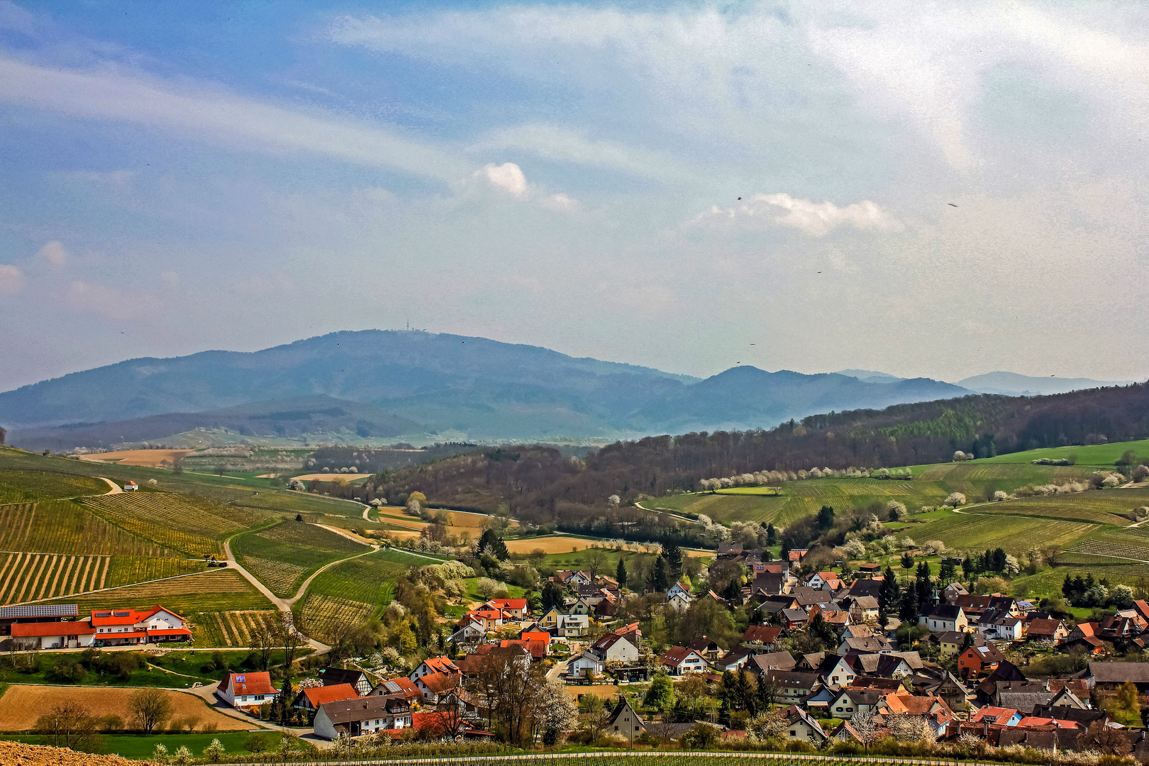 Frühling im Markgräflerland