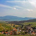 Frühling im Markgräflerland