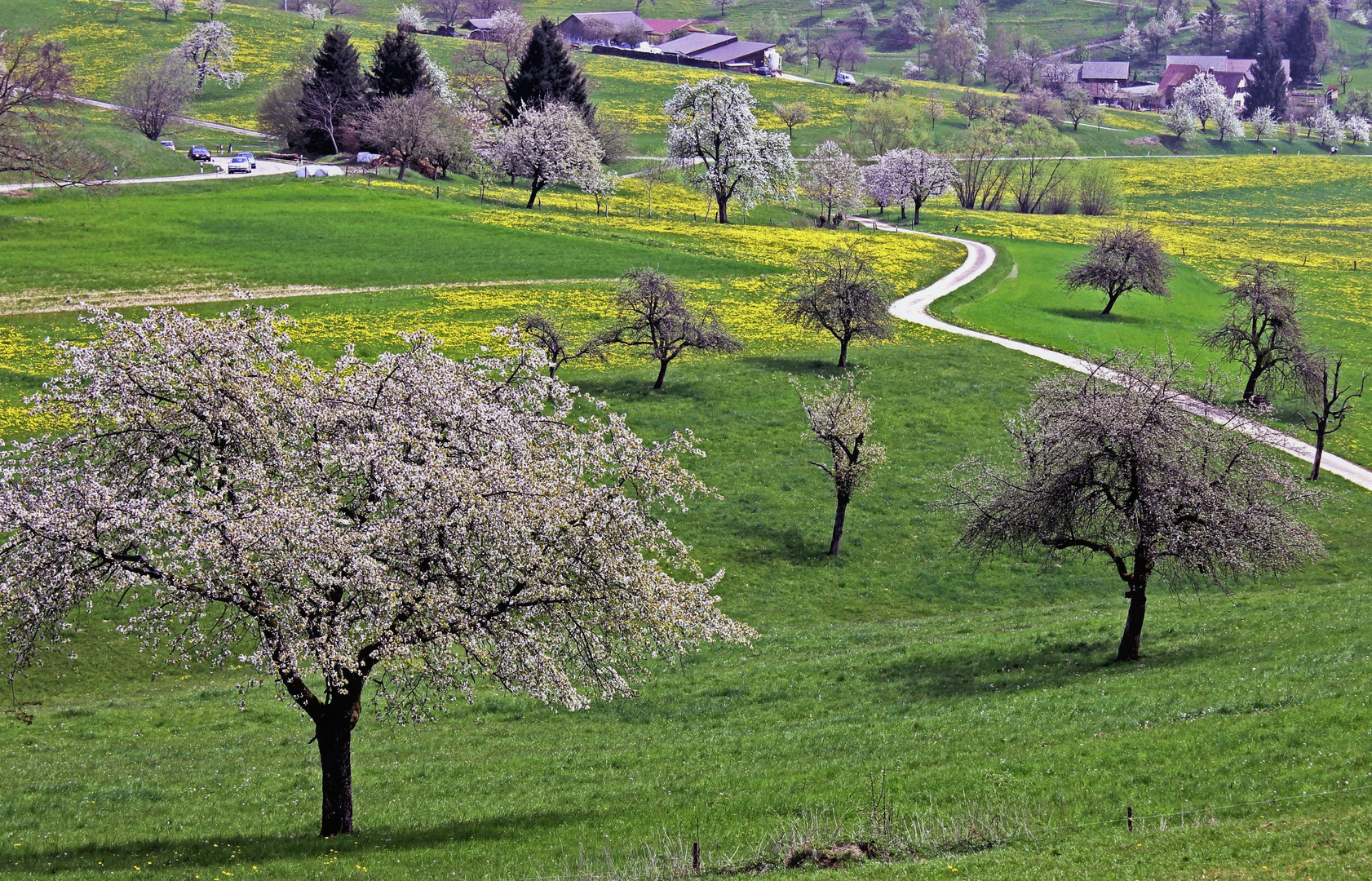 Frühling im Marktgräfler Land